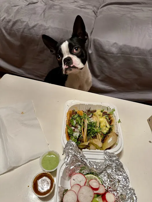 Tacos Los Primos Picture 4
