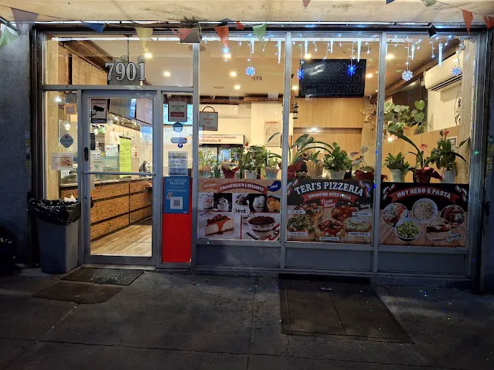 Teri's Pizzeria Picture 3