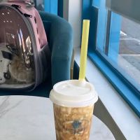Snowbits Tea & Confections ico