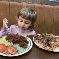 Memo Shish Kebab ico
