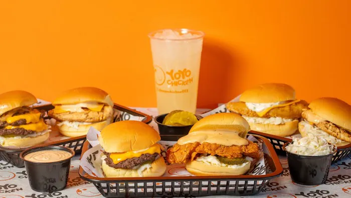 Yoyo Chicken ( Bath Ave ) Picture 10