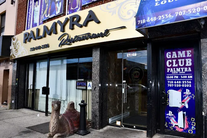 Palmyra Restaurant Brooklyn Picture 6