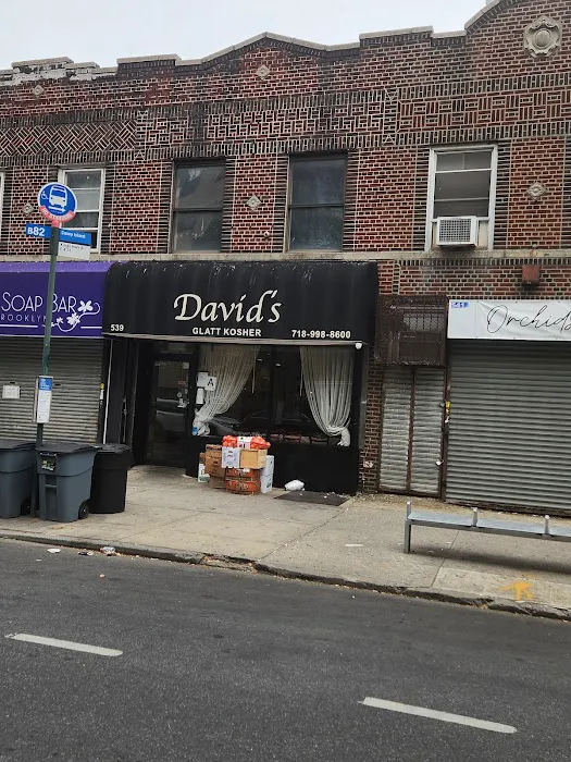 David's Picture 7