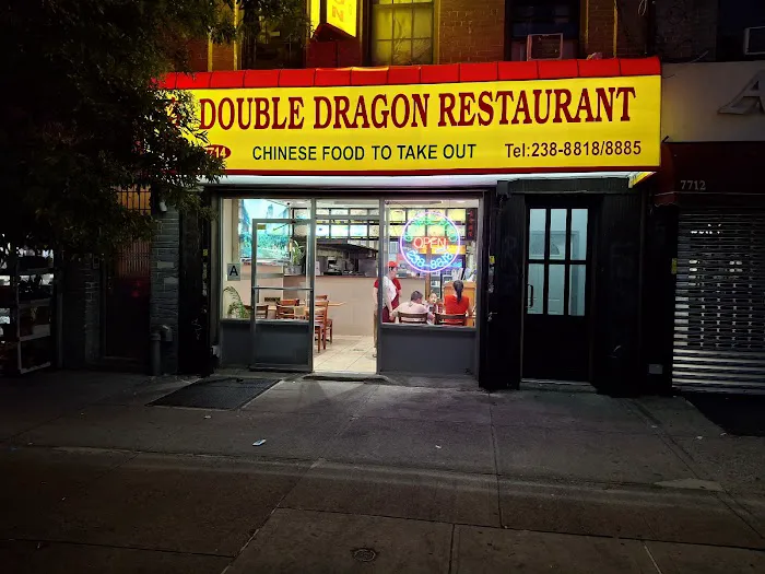 Double Dragon Picture 5