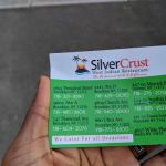 Silver's Crust