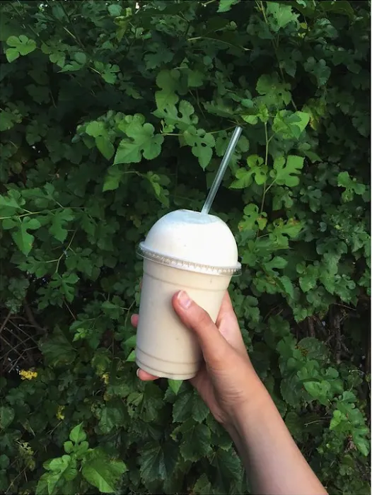 The Smoothie Bar Picture 5