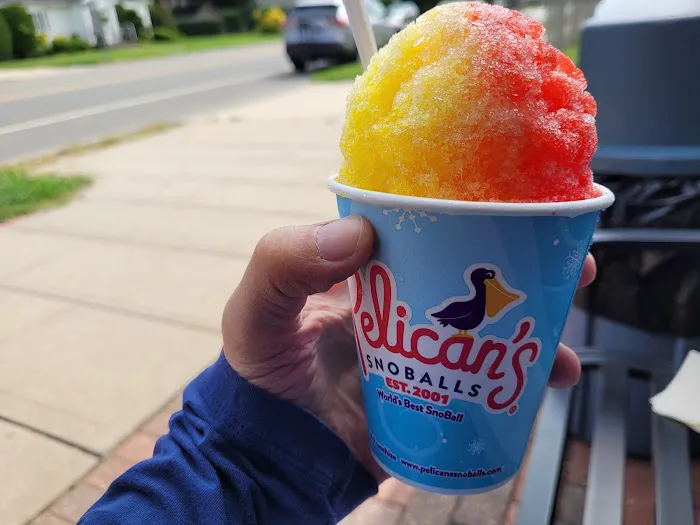 Pelican’s SnoBalls Picture 7