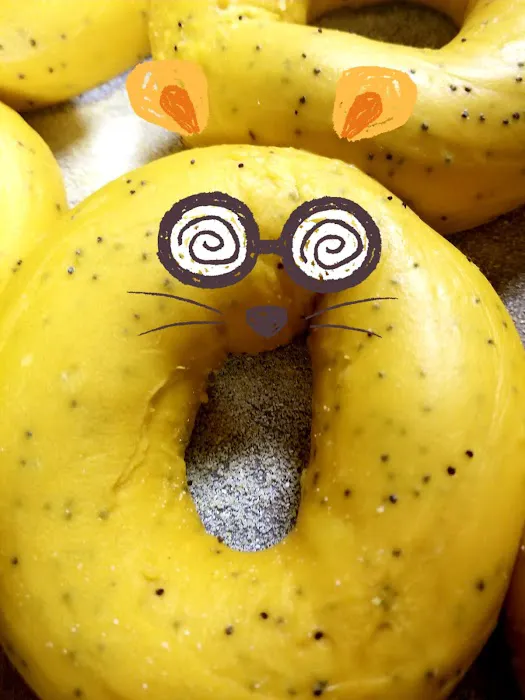 Magic Bagels Inc Picture 3