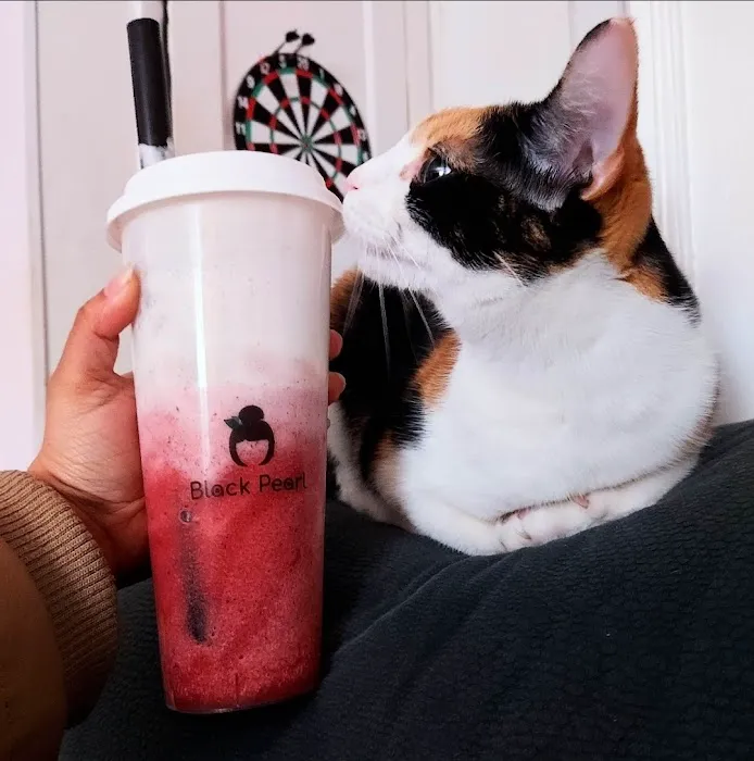Black Pearl Bubble Tea (Green Acres) Picture 10