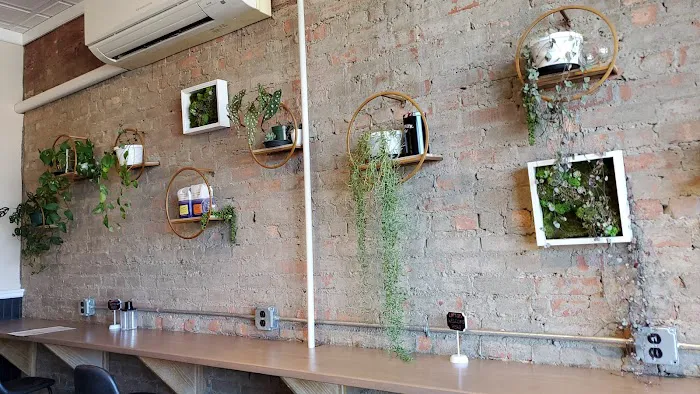 Standard Pour Espresso & Wine Bar Picture 5