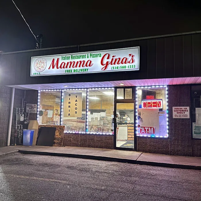 Mamma Gina's Pizzeria and Grill Picture 3