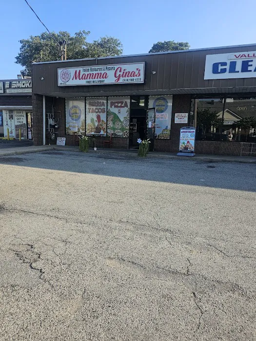 Mamma Gina's Pizzeria and Grill Picture 2