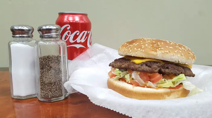 Gyro Spot Picture 2
