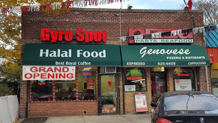 Gyro Spot Picture 10