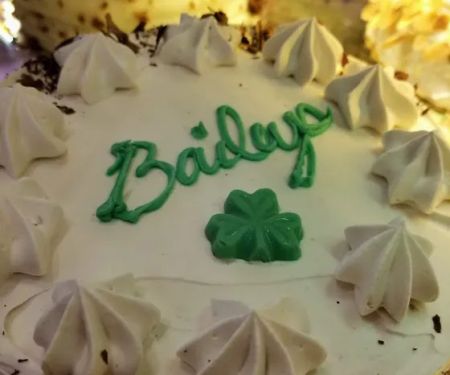 Tulip Bake Shop