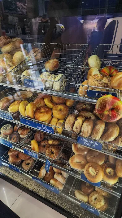 Tulip Bagels Picture 4