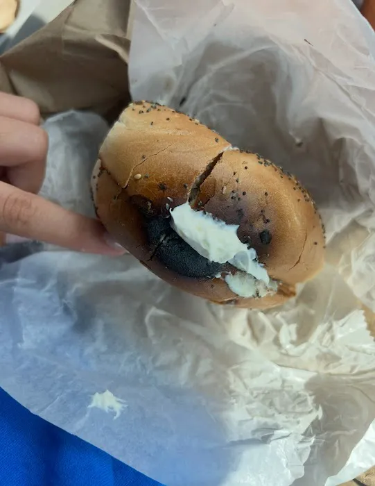 Tulip Bagels Picture 9
