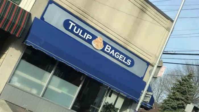 Tulip Bagels Picture 7