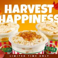 Rita's Italian Ice & Frozen Custard ico