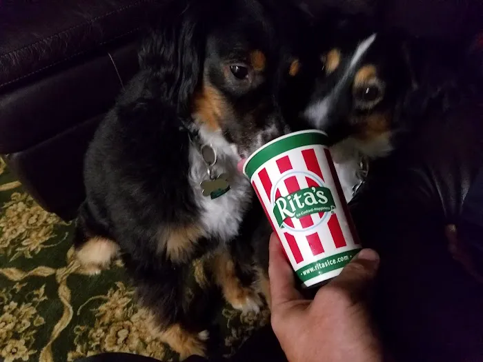Rita's Italian Ice & Frozen Custard Picture 4