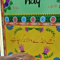 Bun kabab wala ico