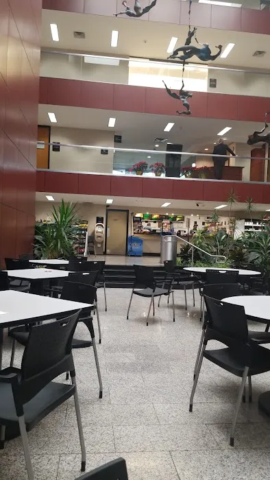 Garden Cafe Picture 5