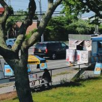 Breezy Dogs Food Truck ico
