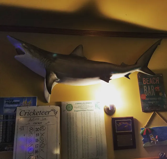 Beach Bar Picture 8