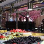 Umi Premium Sushi & Seafood Buffet