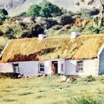 Brookly Italian Ices