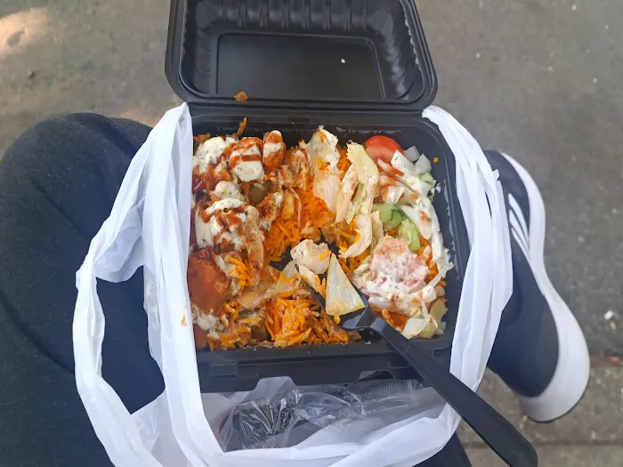 Halal cart/Sheepshead Bay Gyro Picture 10