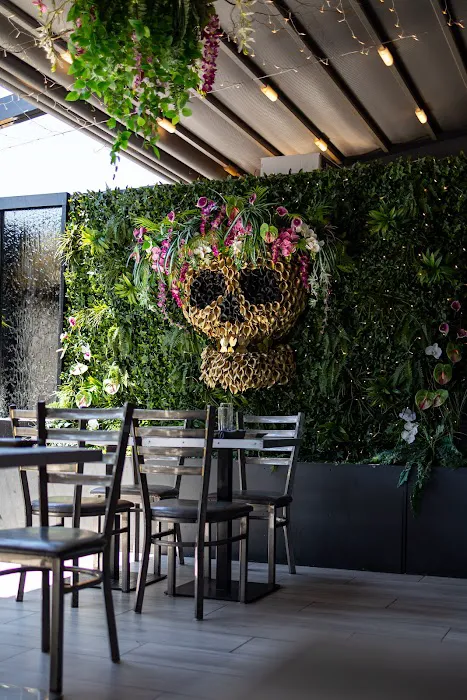 WISE Bar & Grill Picture 3