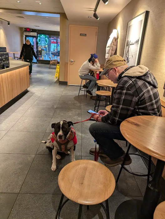 Starbucks Picture 8