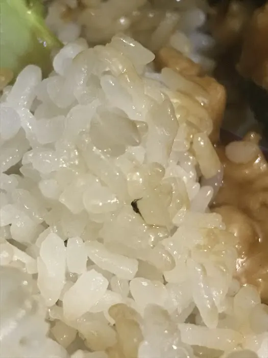 New Taste of China Picture 5