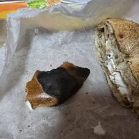 Bagels & Beyond ico