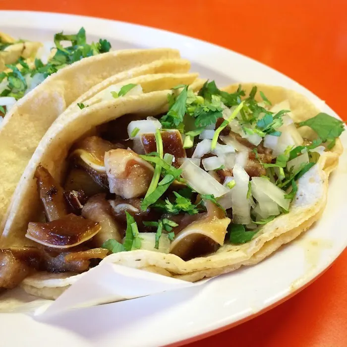 Tacos López 2 Picture 7