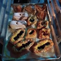 DESI FOODS ico