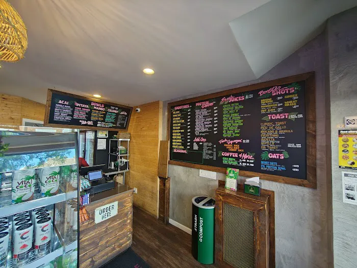 Jungle Bowls Picture 7
