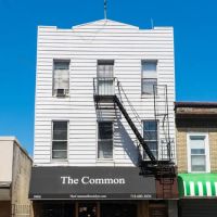 The Common ico