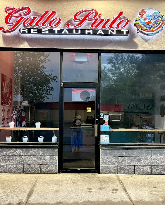 Gallo Pinto Restaurant Picture 10