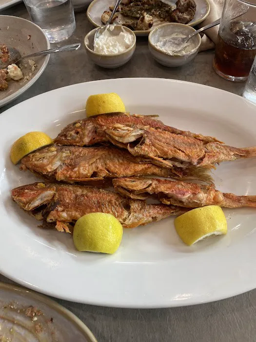Meltemi Greek Restaurant Picture 5