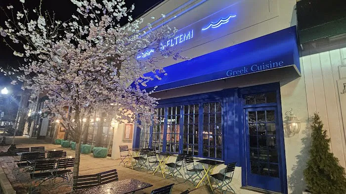 Meltemi Greek Restaurant Picture 4