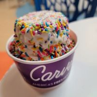 Carvel ico