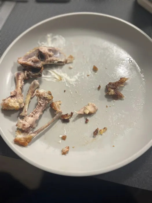 Chicken Galore Picture 4
