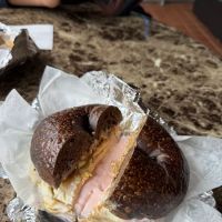 X Steins Bagel ico