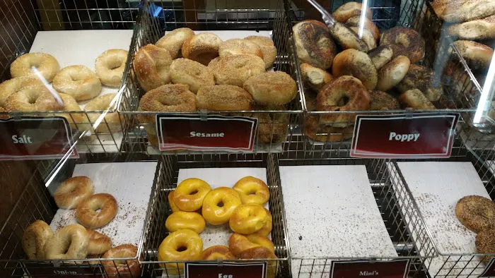 X Steins Bagel Picture 4