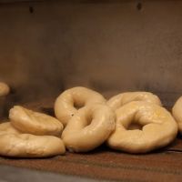 Goldberg’s Original Bagels ico