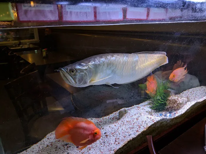 Yuki sushi restaurant Picture 1