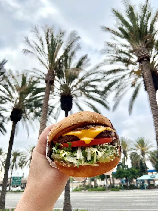 Habit Burger & Grill Picture 5