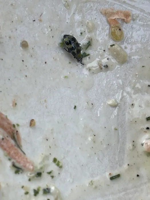 sweetgreen Picture 3